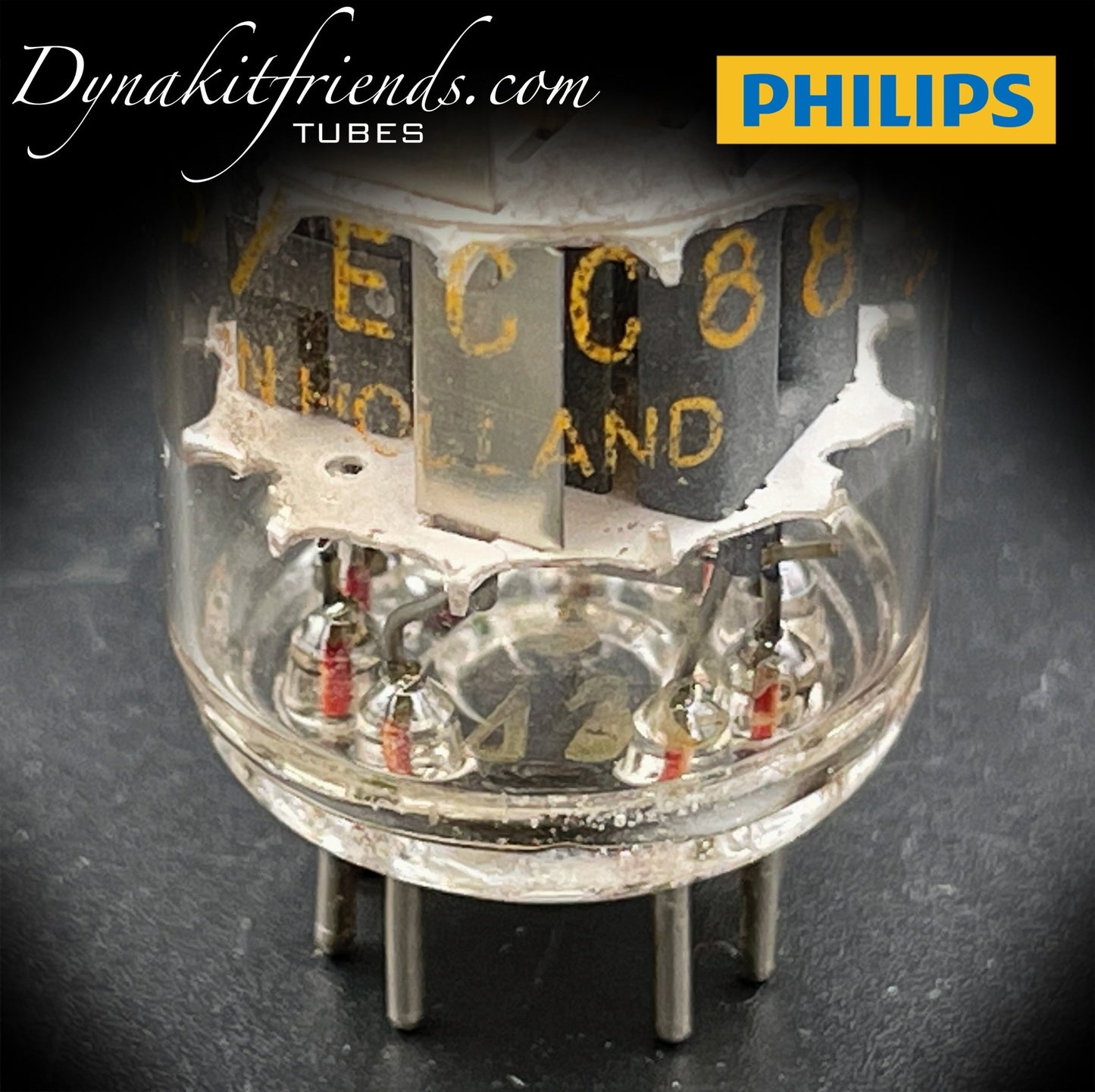 ECC88 ( 6DJ8 ) PHILIPS Heerlen Plant labeled Amperex Disc Getter Tube Made in HOLLAND - Vacuum Tubes Treasures